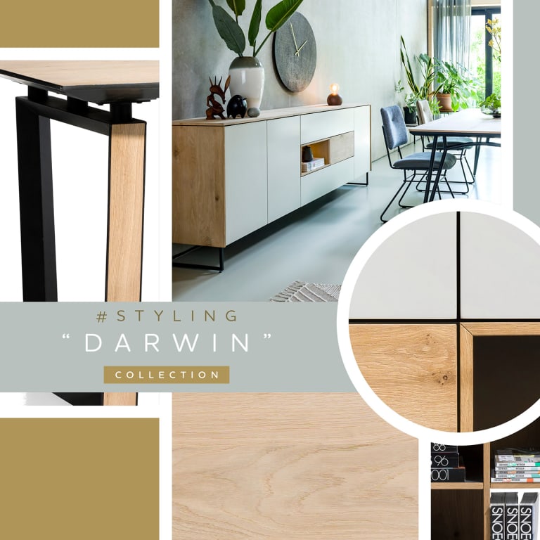 Richte dein Interieur minimalistisch ein mit der Kollektion "DARWIN“: Inspirationen und Tipps